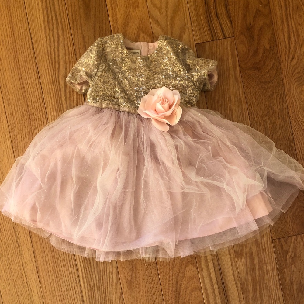 Monsoon dress